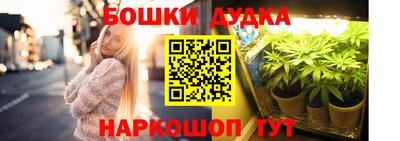 мяу мяу мука Аргун