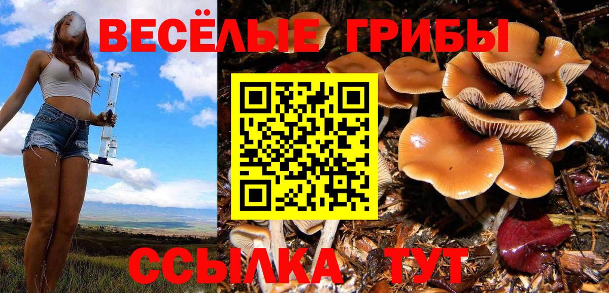 Псилоцибиновые грибы GOLDEN TEACHER  Псилоцибиновые грибы прущие грибы  наркотики  Вход с VPN  Сибай 