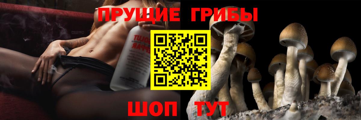 Псилоцибиновые грибы Magic Shrooms Сибай
